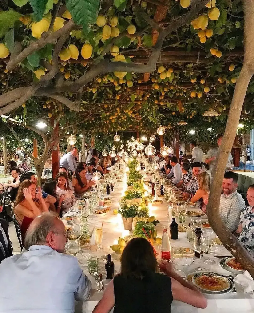 Coastal and Countryside Vibes Combined