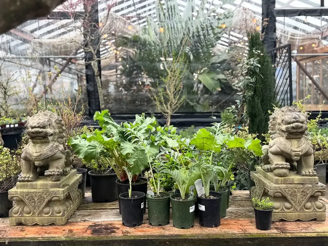 Ornament with Potted Plants