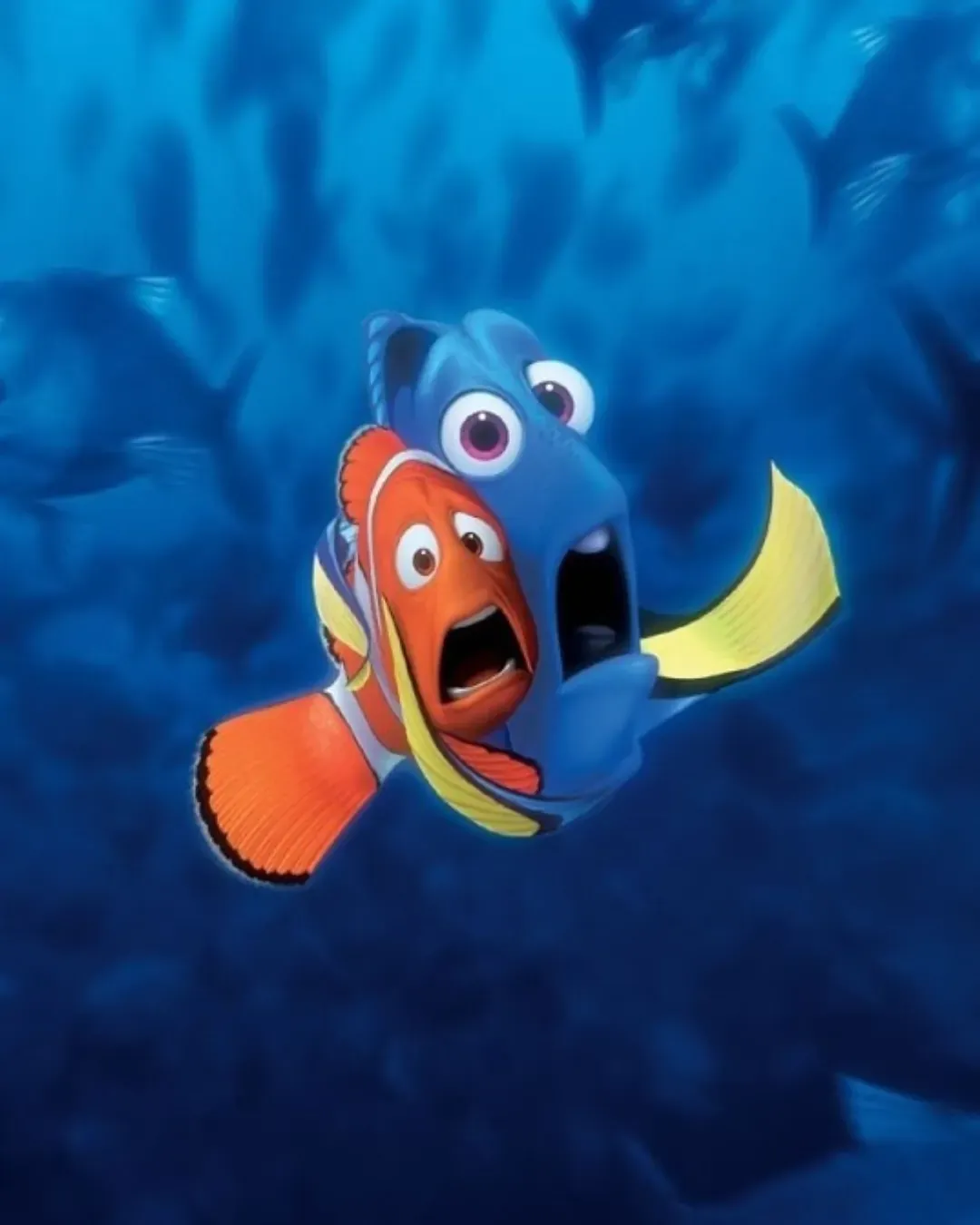 Finding Nemo