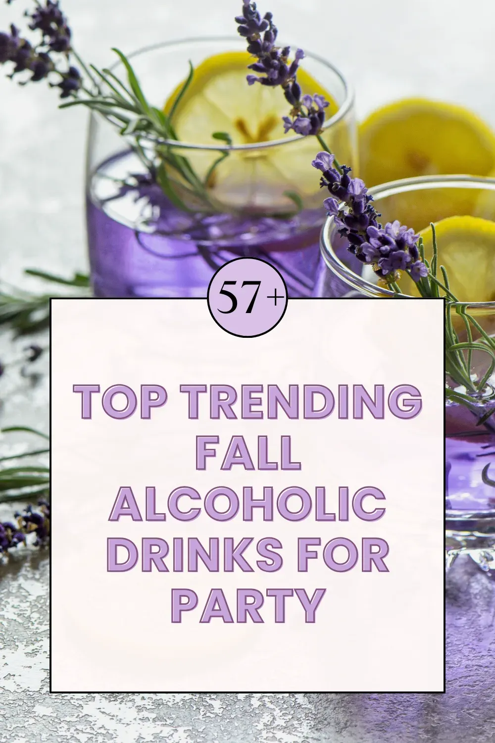 Alcoholic Drinks for Party