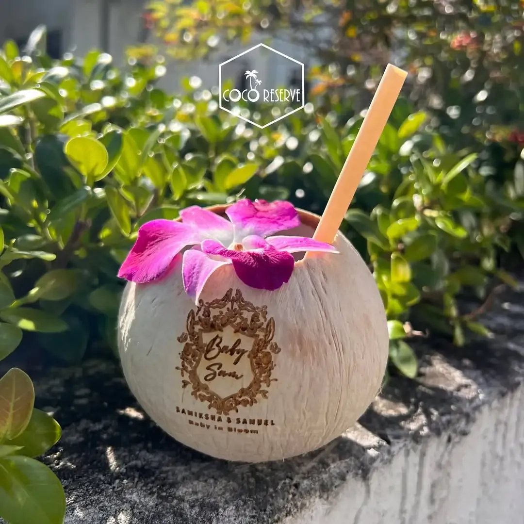 Painted Coconut Cups