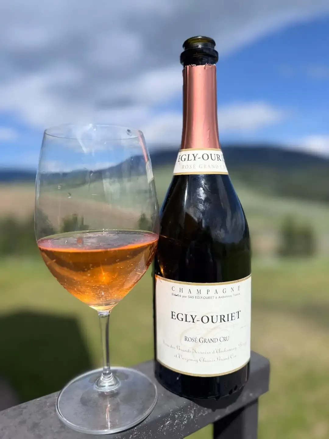 Champagne or Wine Bottles 