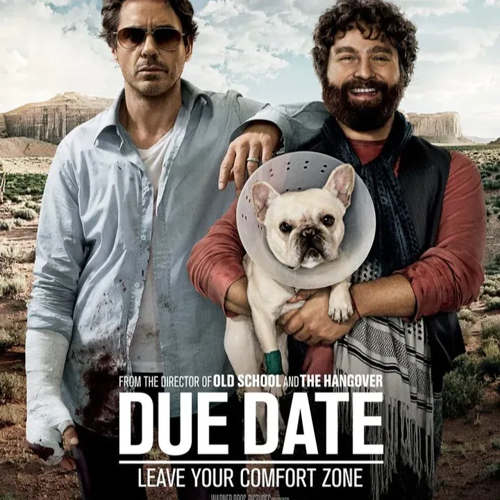 Due Date (2010)