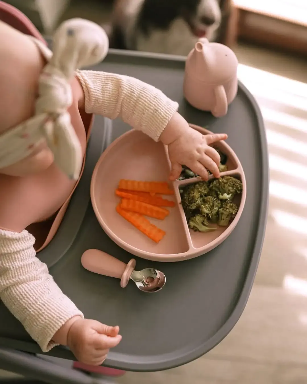 Baby food taste test