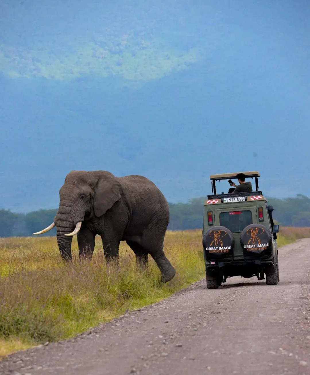 Elephant Expedition 🐘