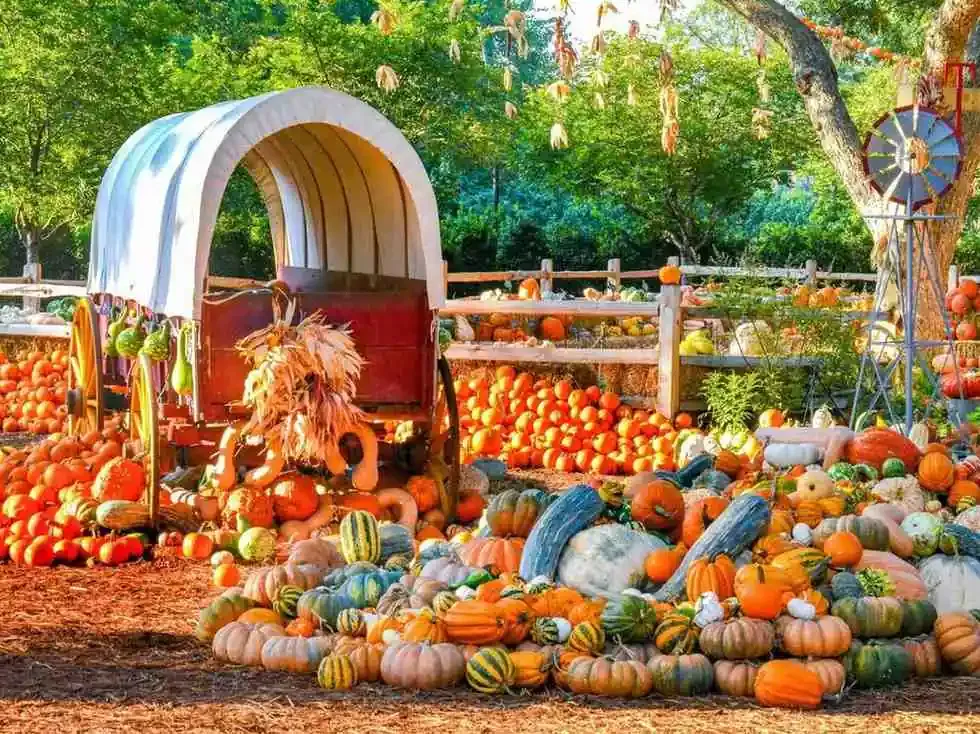 Harvest-Themed Piñata 🎉