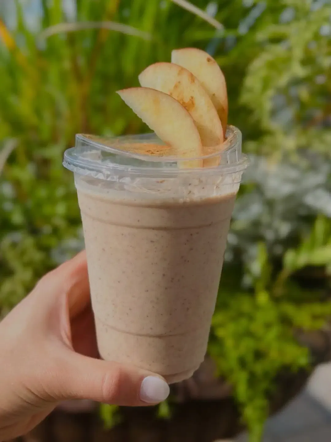 Apple Pie Smoothie