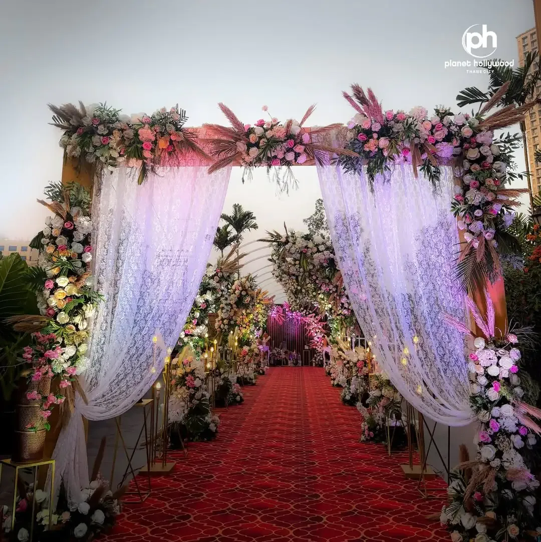 Hollywood Red Carpet