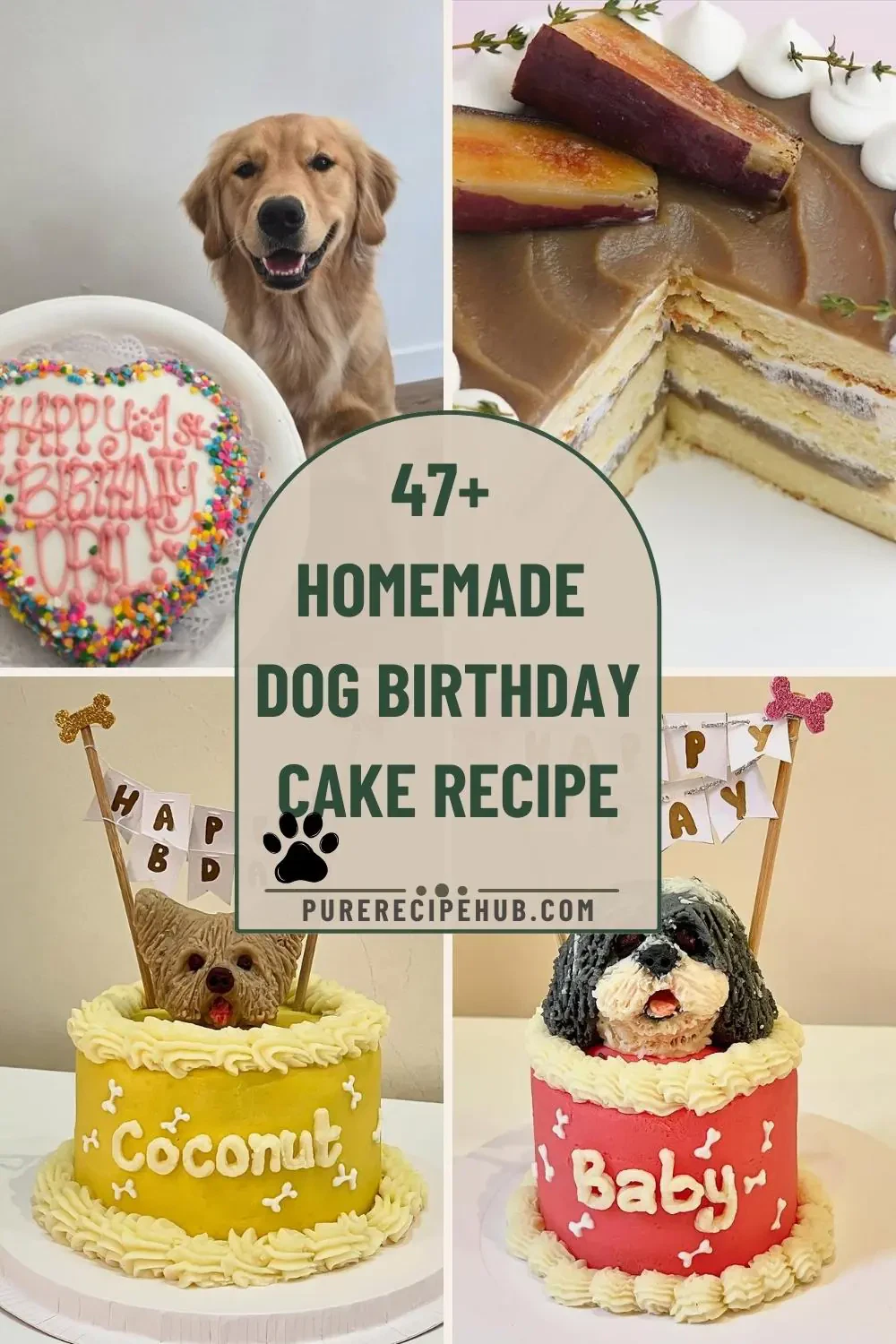 47+ Vet-Approved Homemade Dog Birthday Cake Recipe