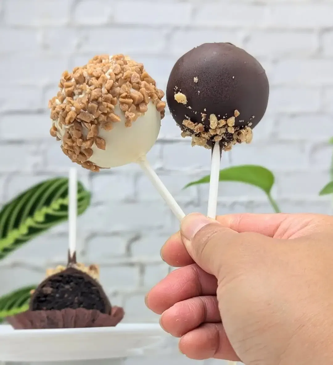 Holiday Chocolate Pops