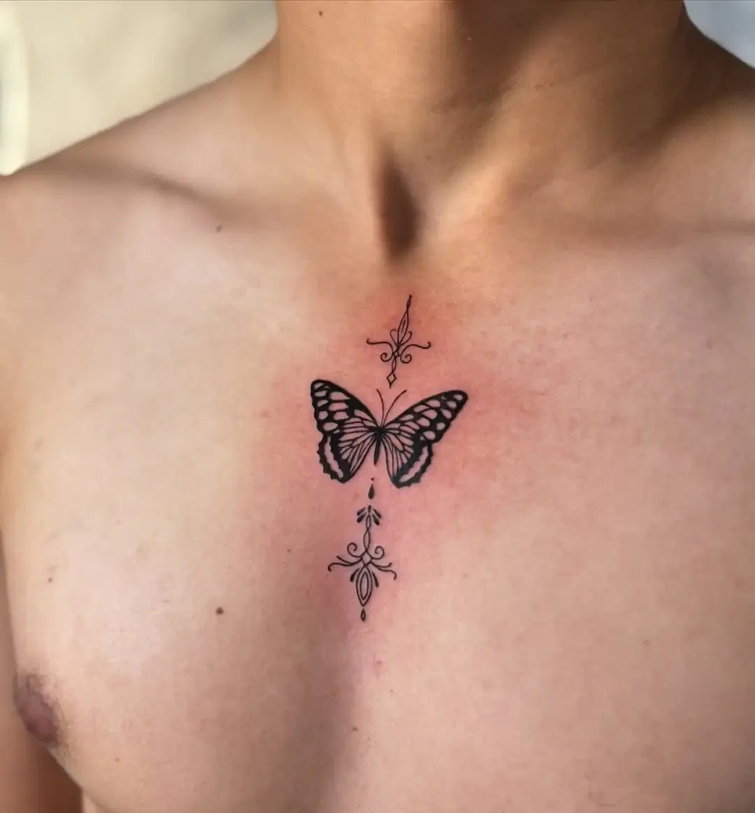 Butterfly with Moon Phases