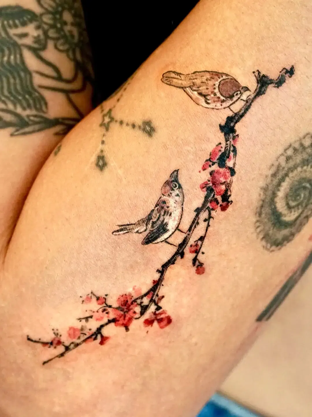 Cherry Blossom with Birds