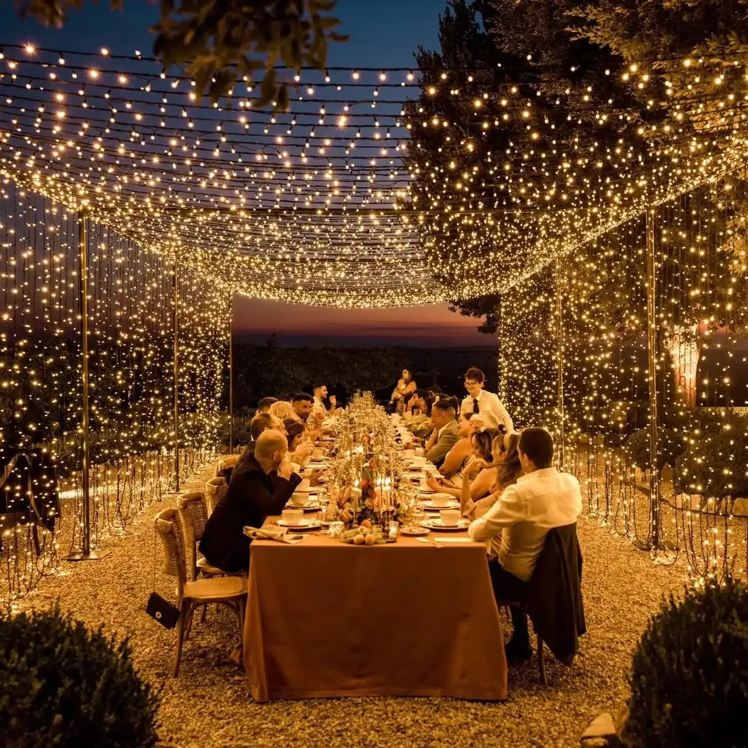 Garden Fairy Light Canopy