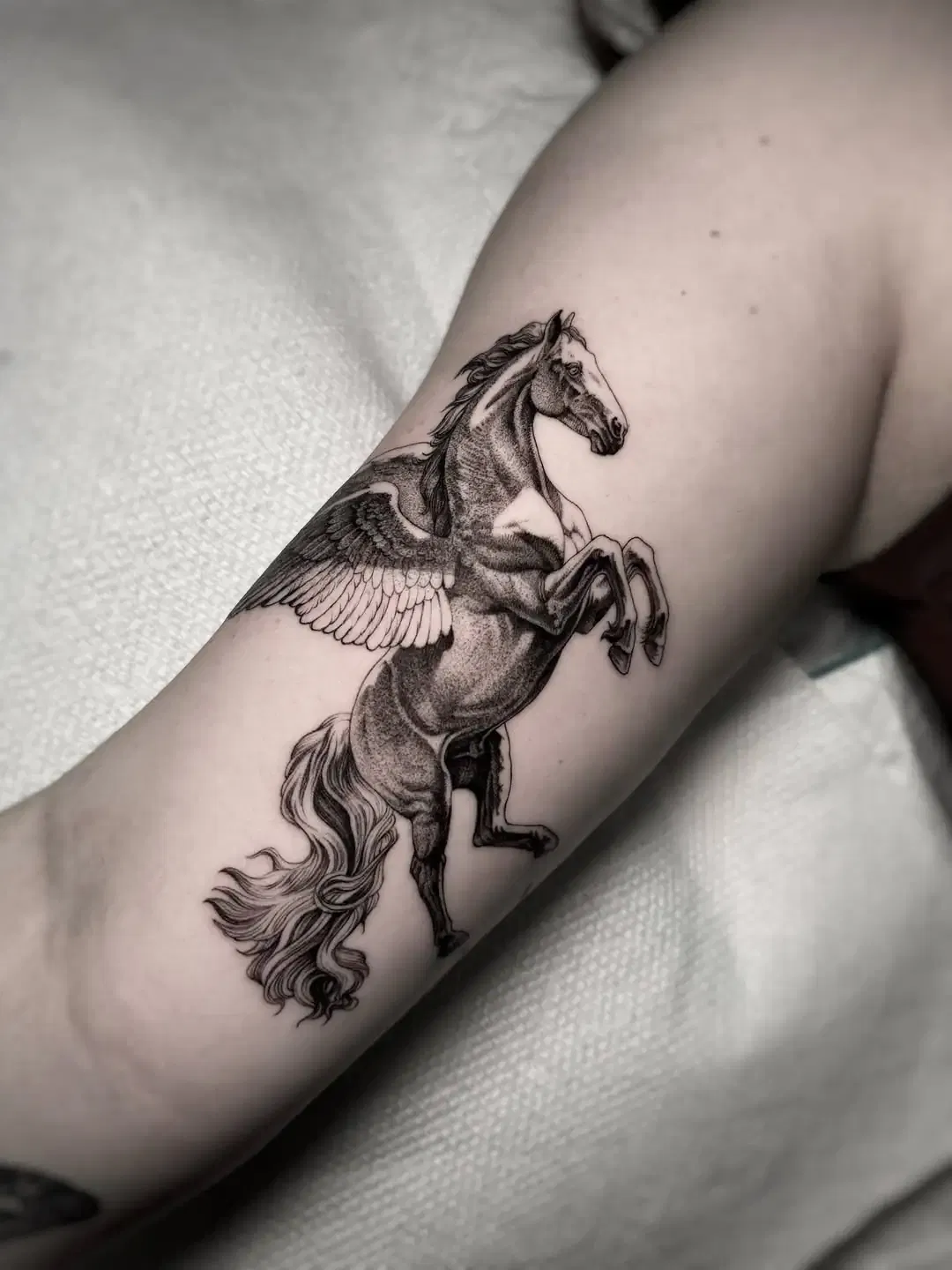 Pegasus Tattoo