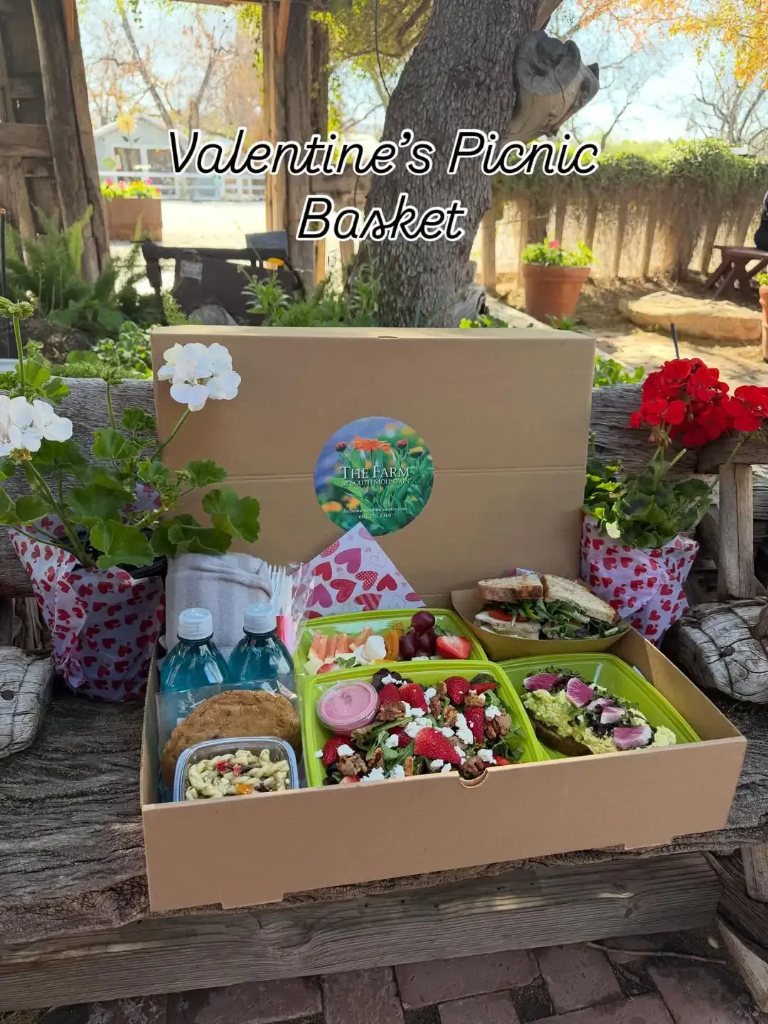 Picnic Baskets