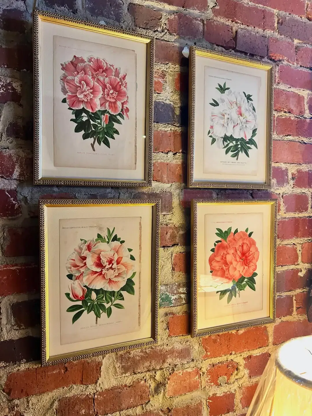 Vintage Floral Wall Art