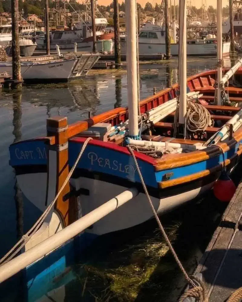 Pirate Ship