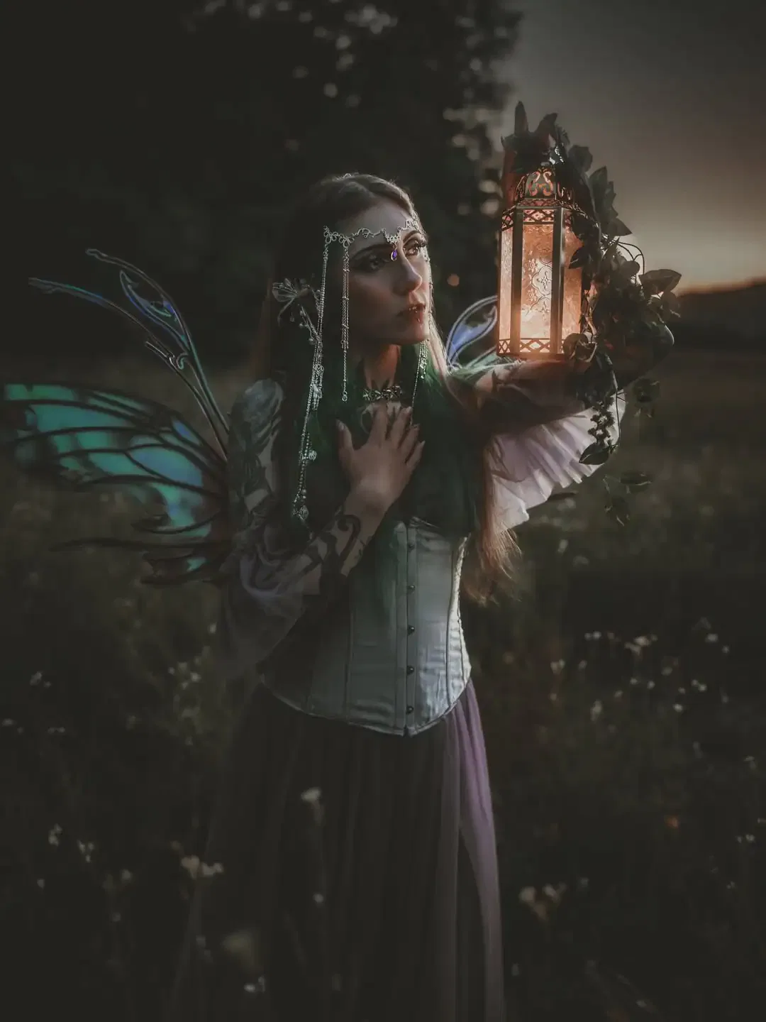 Wings on the Fairy
