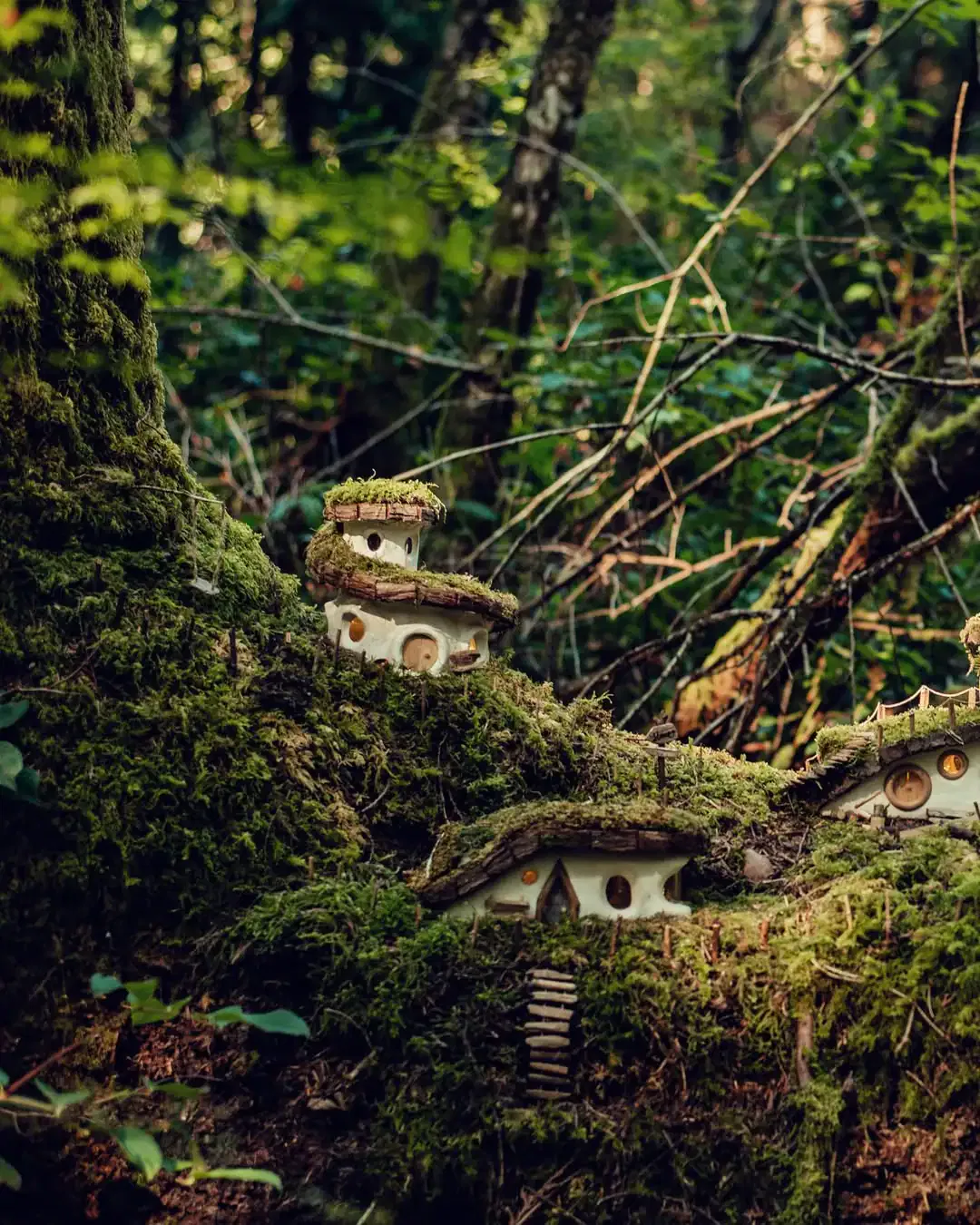 fairy house